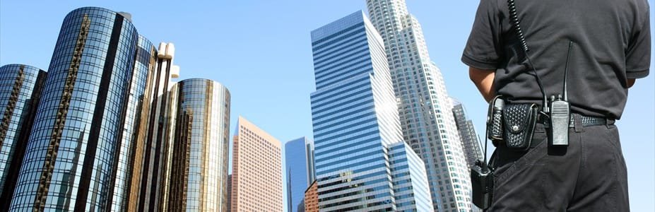 Empresa de Segurança Privada